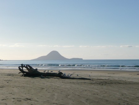 Strand bij de marae, Ohope, heerlijk rustig